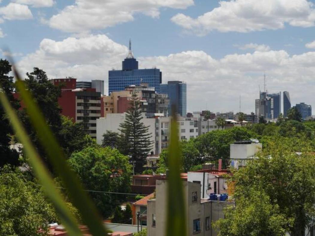 Pequena Habitacion Frida - Design Cdmx - Areas Comunes Compartidas メキシコシティ エクステリア 写真
